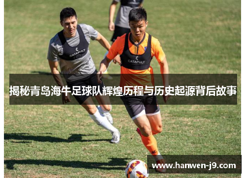 揭秘青岛海牛足球队辉煌历程与历史起源背后故事 揭秘青岛海牛足球队辉煌历程与历史起源背后故事