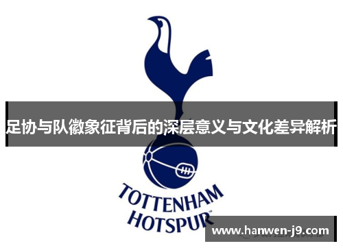 足协与队徽象征背后的深层意义与文化差异解析