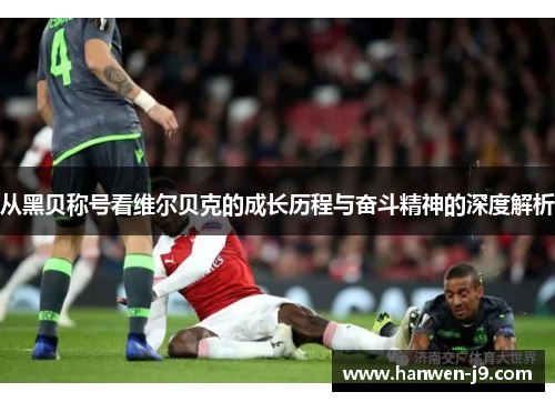 从黑贝称号看维尔贝克的成长历程与奋斗精神的深度解析